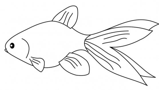 Ako nakresliť ryby? Niekoľko možností